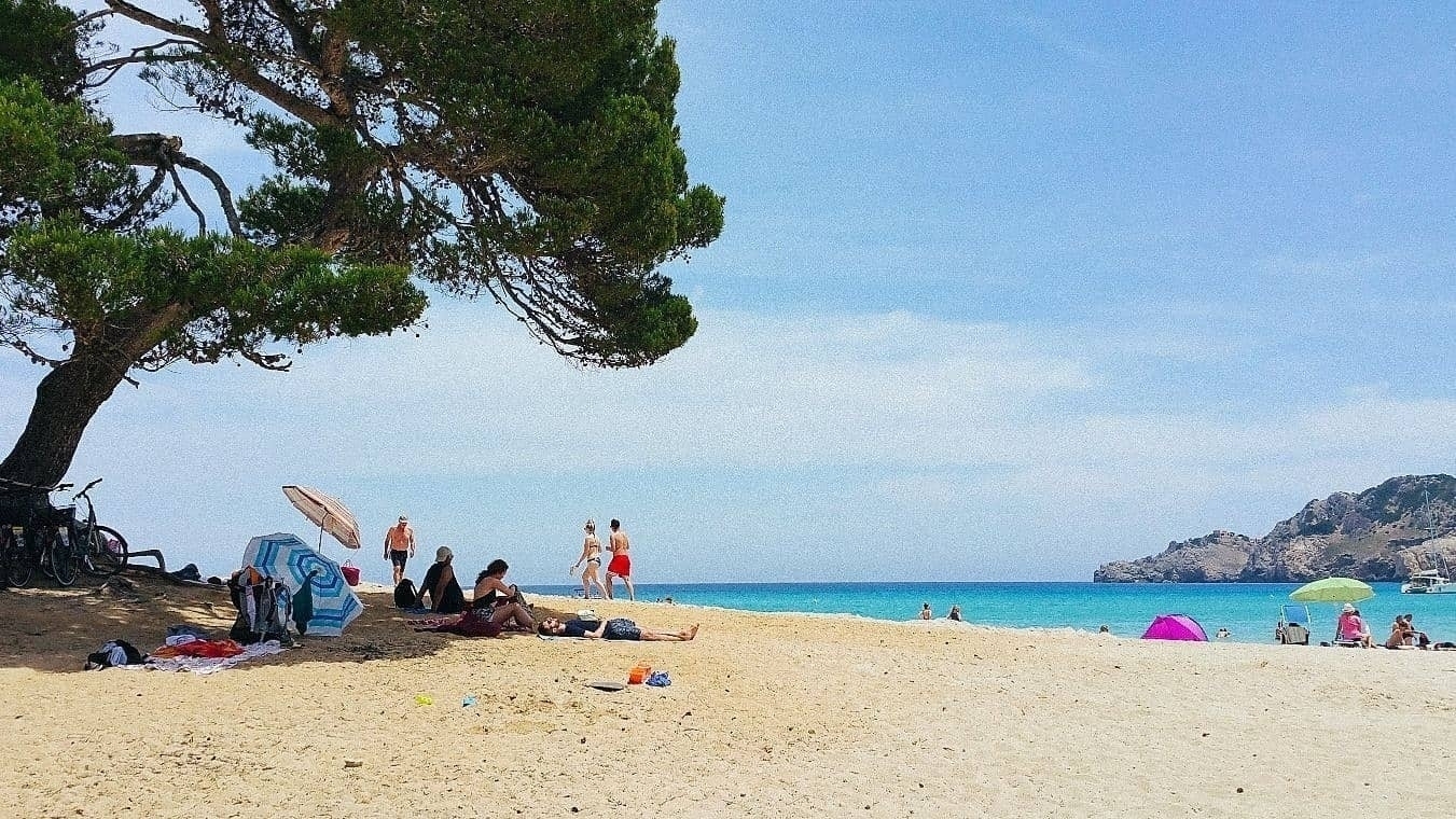 Auto-generated description: People relax on a sandy beach under a clear blue sky, with some shade provided by a large tree.