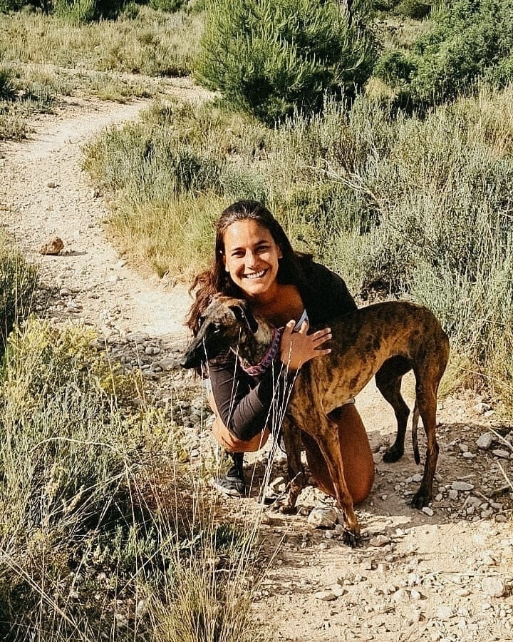 Auto-generated description: A person is happily hugging a large dog on a rocky path surrounded by greenery.