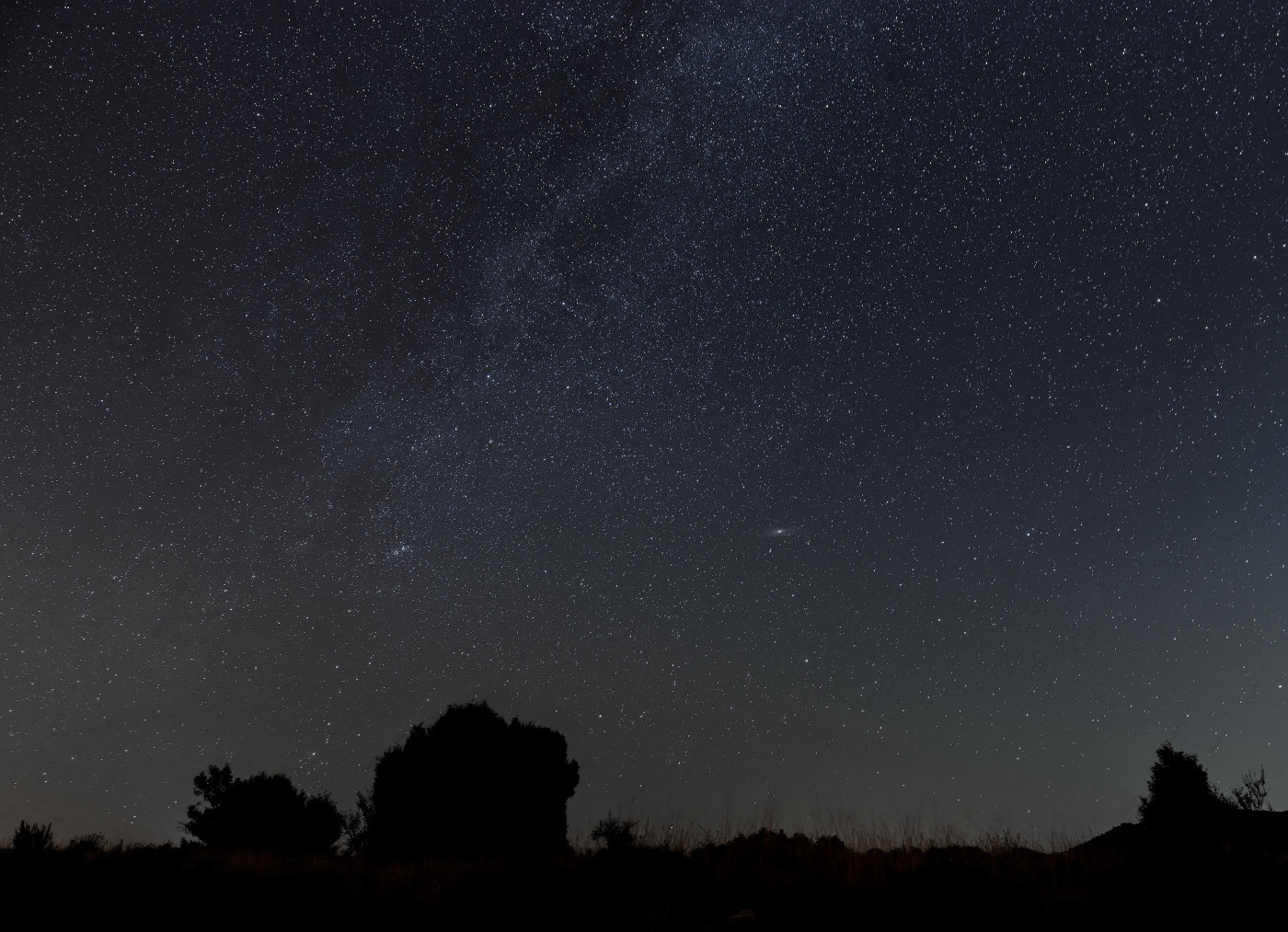 Auto-generated description: A starry night sky is visible above a silhouetted landscape with trees and a hill.