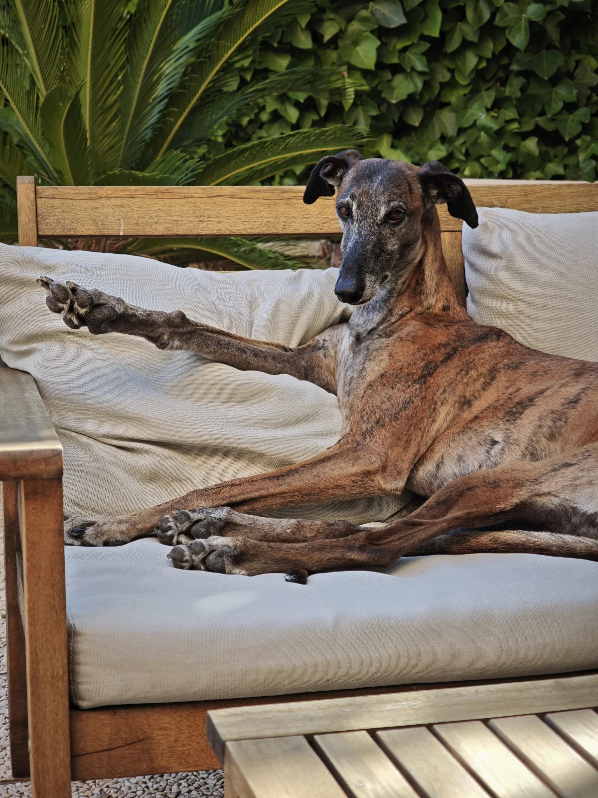luna-relaxing