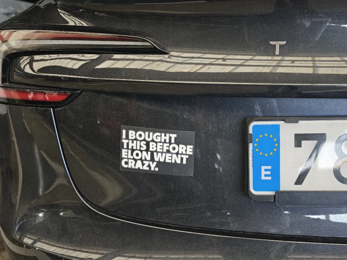 tesla-elon-crazy