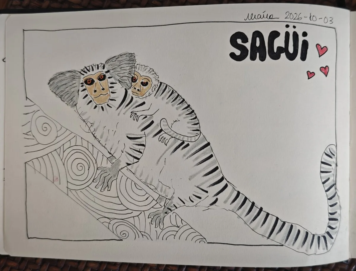 sketchbook-saguis