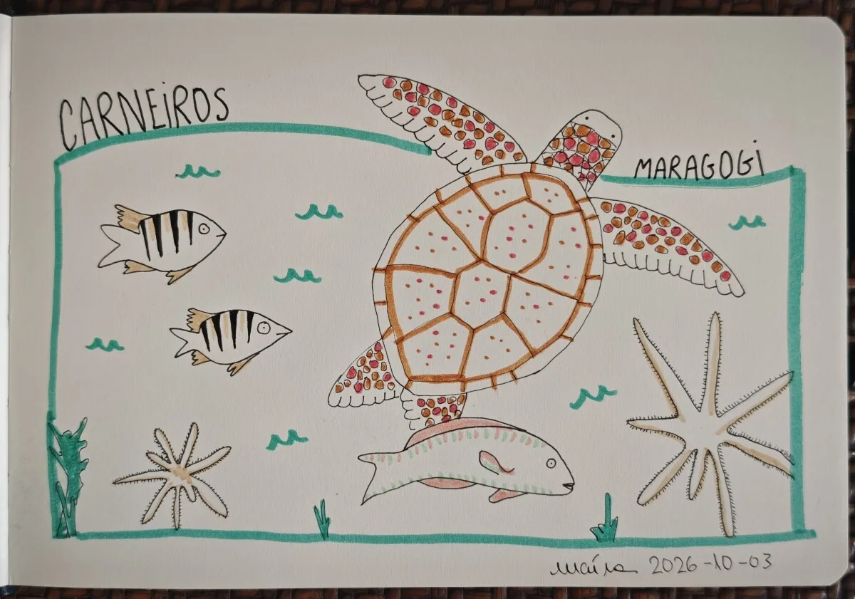 sketchbook-sea-turtle