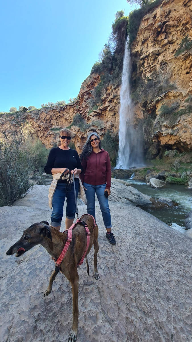 20260323_salto-de-la-novia